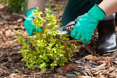 Charity partnership volunteers receiving reused plant pots and mulch
