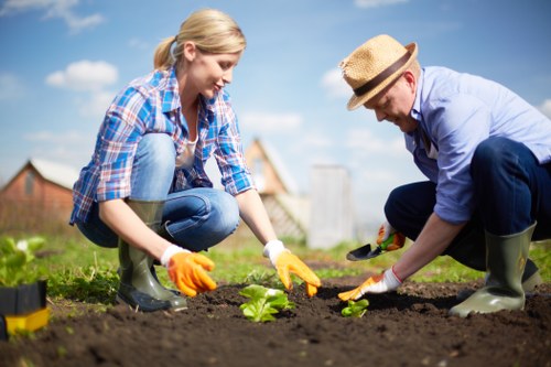 Gardener fixing an issue in a residential garden