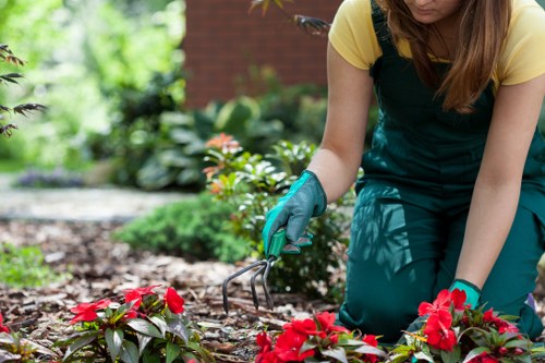 Seasonal garden care activities in West Ham
